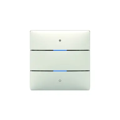 Theben 4800412 LUXORliving tastsensor met 2 toetsen en 2 status LED's geïntegreerde