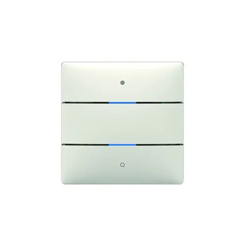 Theben 4800412 LUXORliving tastsensor met 2 toetsen en 2 status LED's geïntegreerde