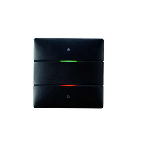 Theben 4801412 LUXORliving tastsensor met 2 toetsen en 2 status LED's geïntegreerde