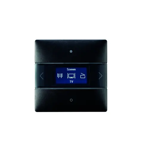 Theben 4801418 LUXORliving ruimtecontroller geïntegreerde temperatuurregelaar zwart