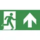 Van Lien PP 315/51/BL Optilux-pictogramplaat voor vluchtroute rechtdoor of naar boven
