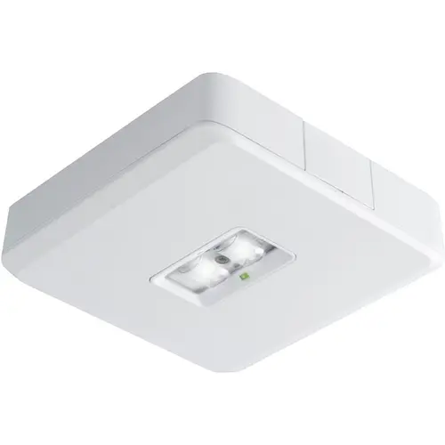 Van Lien EVA-DLO-X noodarm opb led 2w dec/con wt