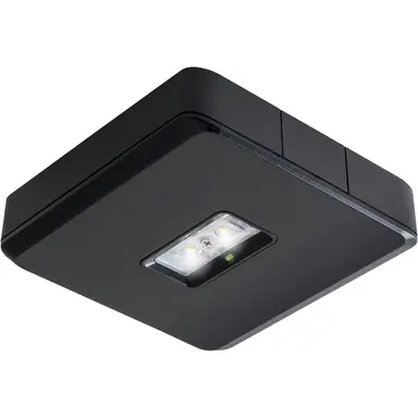 Van Lien EVA-DWO/DALI/ZWART noodarm opb 1led2w decentr