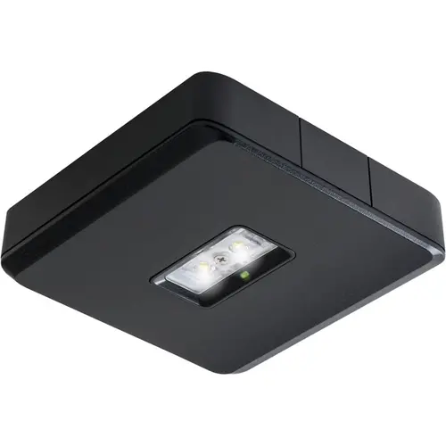 Van Lien EVA-DWO/DALI/ZWART noodarm opb 1led2w decentr