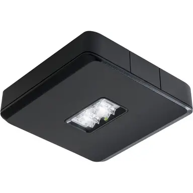 Van Lien EVA-DLO/DALI/ZWART noodarm opb led dc/con 230v zw