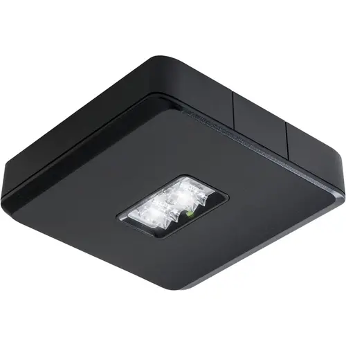 Van Lien EVA-DLO/DALI/ZWART noodarm opb led dc/con 230v zw