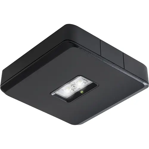Van Lien EVA-DWO-X/CIS/ZWART noodarm 2w 238lm 1u 4mtr zwart