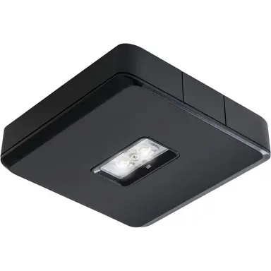 Van Lien EVA-CWO-X/FLX/ZWART centraal 2 watt ontworpen voo