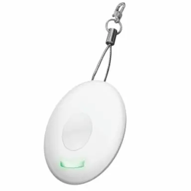 KlikAanKlikUit ACCT-510 keychain remote control nl