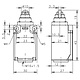 Bernstein TI2-SU1Z RIW eindschakelaar met rolplunjer 1xNO-NC contact 240V/AC 10A IP65