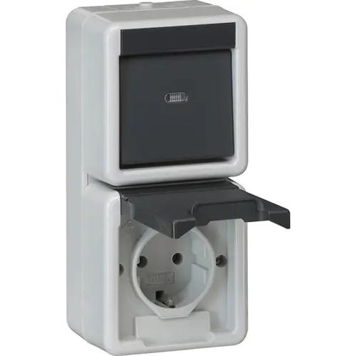 Gira 417630 combinatie schakelaar en wandcontactdoos randaarde klapdeksel verticaal opbouw IP44