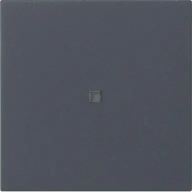 Gira 549528 eNet RF bedieningselement-opzetstuk Systeem 55 antraciet mat