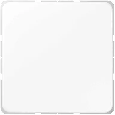 JUNG CD 594-0 WW centraalplaat blinddeksel incl. draagframe CD500 alpine wit