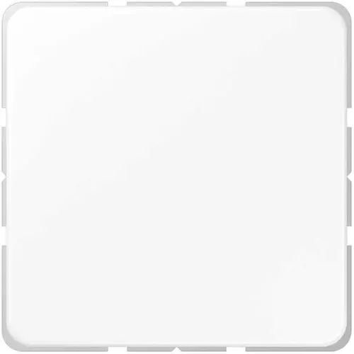 JUNG CD 594-0 WW centraalplaat blinddeksel incl. draagframe CD500 alpine wit