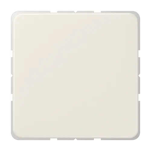JUNG 594-0 centraalplaat blinddeksel incl. draagframe CD500 creme