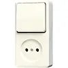 JUNG 646 A opbouw combinatie wisselschakelaar/wandcontactdoos zonder randaarde AP600 creme