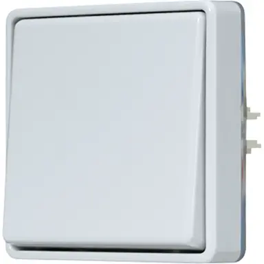JUNG 602 E 2-polige schakelaar opbouw IP44 WG600