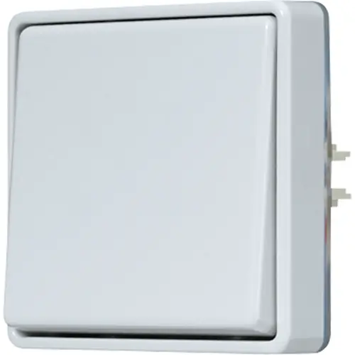 JUNG 602 E 2-polige schakelaar opbouw IP44 WG600
