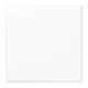JUNG LS 994 B WW centraalplaat blinddeksel incl. draagframe LS990 alpine wit