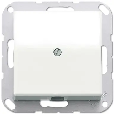 JUNG AS 590 A WW centraalplaat met snoerinvoer en draagring AS500 alpine wit