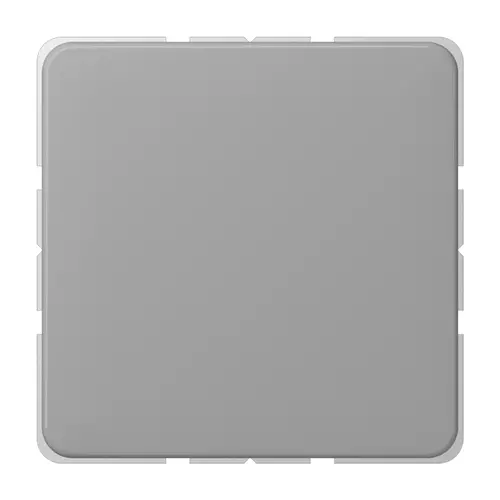 JUNG CD 594-0 GR centraalplaat blinddeksel incl. draagframe CD500 grijs
