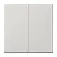 JUNG LS 995 LG schakelwip 2-voudig LS990 lichtgrijs