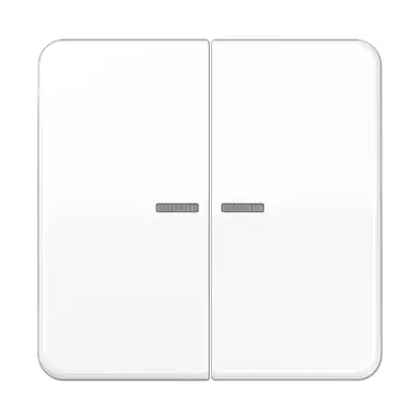 JUNG CD 595 KO5 WW schakelwip 2-voudig met controlevenster CD500 alpine wit