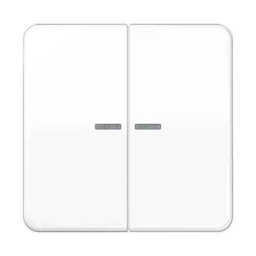 JUNG CD 595 KO5 WW schakelwip 2-voudig met controlevenster CD500 alpine wit