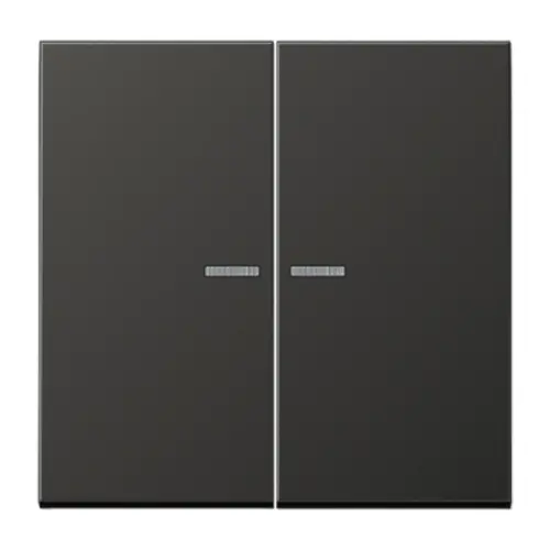 JUNG AL 2995 KO5 AN schakelwip 2-voudig met controlevenster LS990 antraciet gelakt aluminium