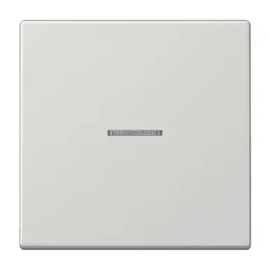 JUNG LS 990 KO5 LG schakelwip met controlevenster LS990 lichtgrijs
