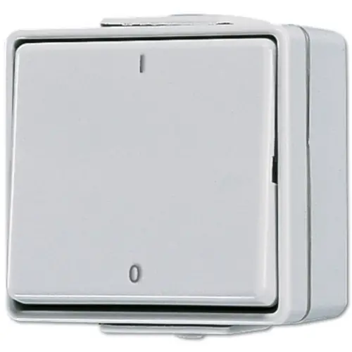 JUNG 602 W 2-polige schakelaar 10A met onderbak IP44 WG600