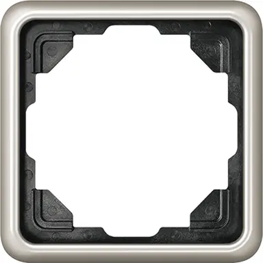 JUNG CD 581 PT afdekraam 1-voudig CD500 platina