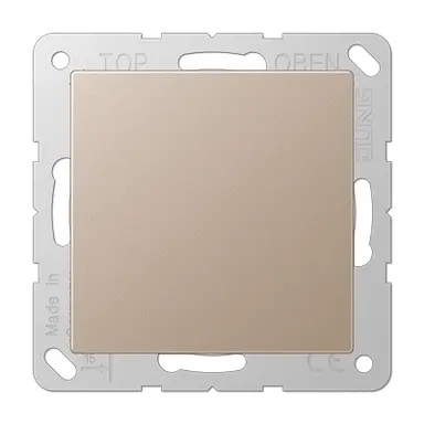 JUNG A 594-0 CH centraalplaat blinddeksel incl. draagframe A-range champagne