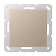 JUNG A 594-0 CH centraalplaat blinddeksel incl. draagframe A-range champagne