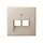 JUNG A 569-2 BFPLUA CH centraalplaat 2-voudig tbv RJ45 wandcontactdoos A-range champagne