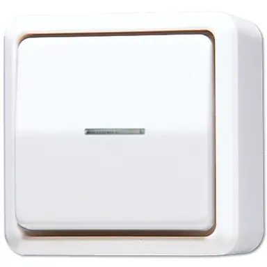 JUNG 606 KO5 A WW opbouw wisselschakelaar met controlelamp 10A AP600 alpine wit
