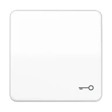 JUNG CD 590 T WW schakelwip met sleutelsymbool CD500 alpine wit