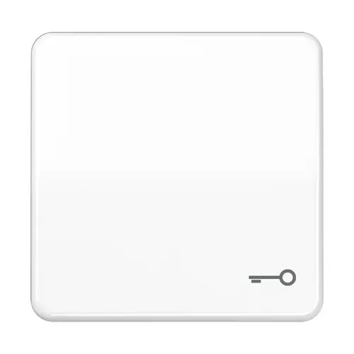 JUNG CD 590 T WW schakelwip met sleutelsymbool CD500 alpine wit