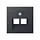 JUNG A 569-2 BFPLUA ANM centraalplaat 2-voudig tbv RJ45 wandcontactdoos A-range antraciet mat