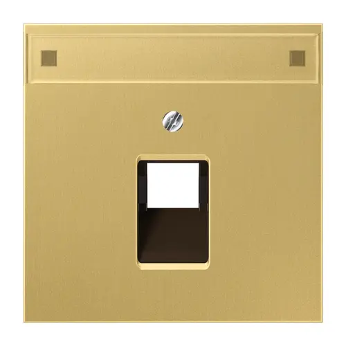 JUNG ME 2969-1 NAUA C Centraalplaat UAE/IAE Messing