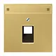 JUNG ME 2969-1 NAUA C Centraalplaat UAE/IAE Messing