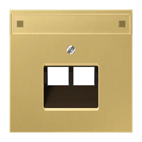 JUNG ME 2969-2 NAUA C centraalplaat 2-voudig met tekstvenster tbv RJ45 wandcontactdoos LS990 messing klassiek