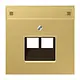 JUNG ME 2969-2 NAUA C centraalplaat 2-voudig met tekstvenster tbv RJ45 wandcontactdoos LS990 messing klassiek