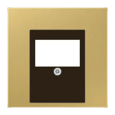 JUNG ME 2969 T C centraalplaat multimedia LS990 messing klassiek