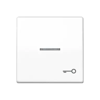JUNG AS 591 KO5T WW schakelwip met sleutelsymbool en controlevenster alpine wit