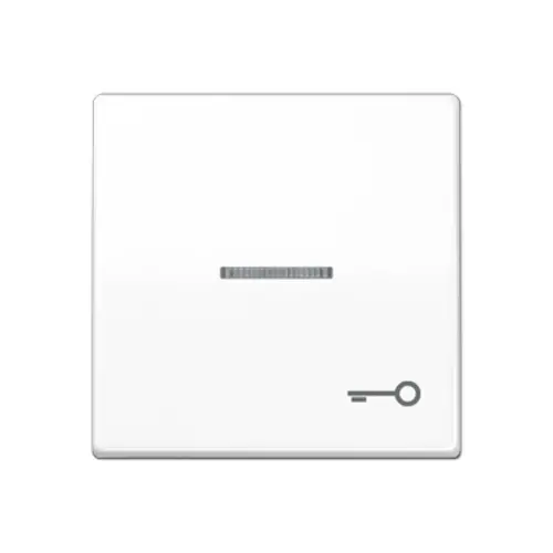 JUNG AS 591 KO5T WW schakelwip met sleutelsymbool en controlevenster alpine wit
