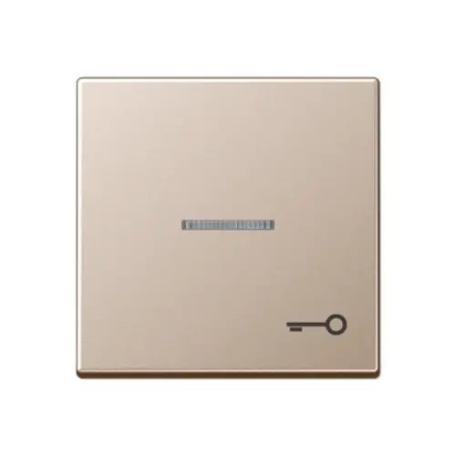 JUNG A 590 KO5 T CH schakelwip met sleutelsymbool en controlevenster A-range champagne