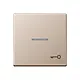 JUNG A 590 KO5 T CH schakelwip met sleutelsymbool en controlevenster A-range champagne