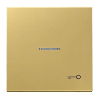 JUNG ME 2990 KO5 T C schakelwip met sleutelsymbool en controlevenster LS990 messing klassiek