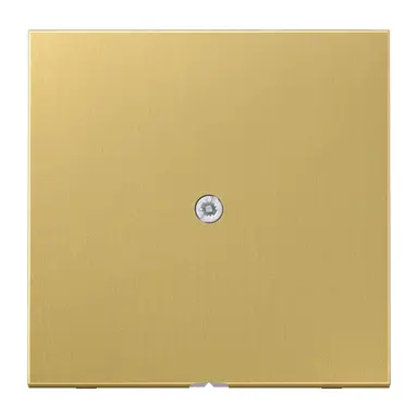 JUNG ME 2990 A C centraalplaat snoer invoer incl. draagframe LS990 messing klassiek